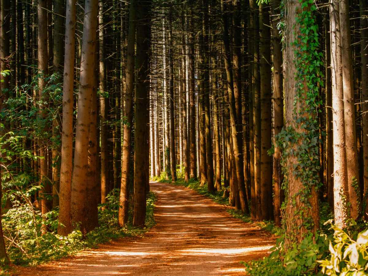 Don’t Drag Your Past Into Your Future